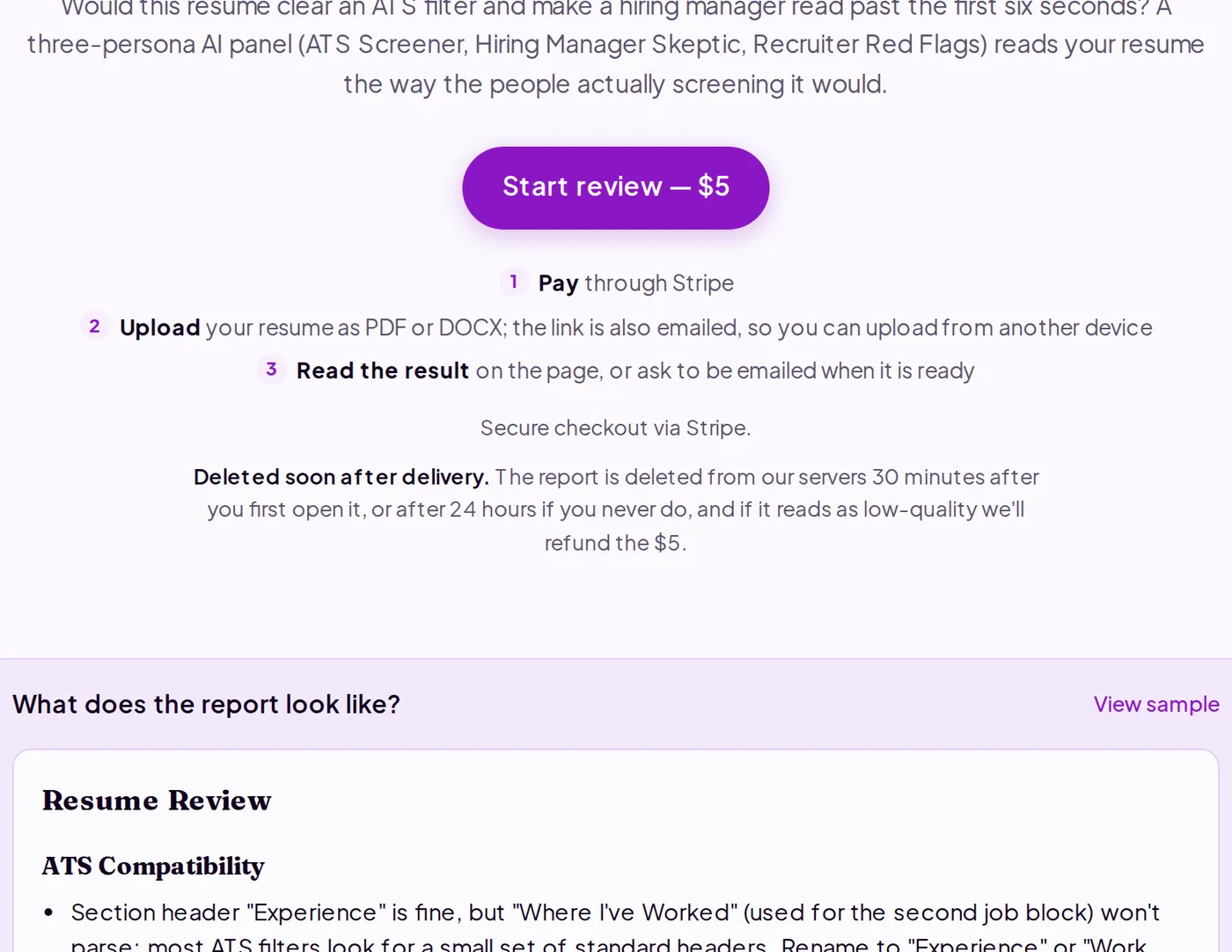 The start of the illustrative sample report from the Resume Review page