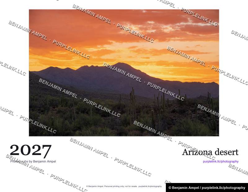 Cover of the 2027 Arizona desert calendar