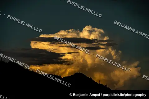 A towering monsoon thunderhead glows orange and gold at sunset above a silhouetted desert mountain ridge dotted with saguaro cacti.