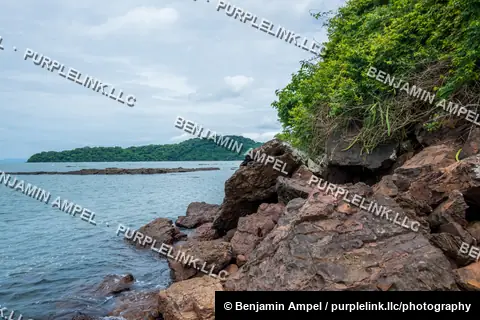 Rugged rocky coastline covered in greenery overlooks a calm bay with a forested island in the distance.