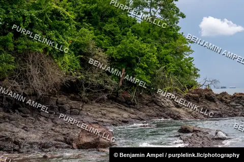A rugged, tree-covered rocky shoreline meets turquoise water, with a distant cargo ship visible on the horizon.