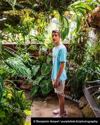 September 2023: A young man in a light blue shirt reacts with surprise while standing among dense tropical foliage inside a botanical greenhouse.