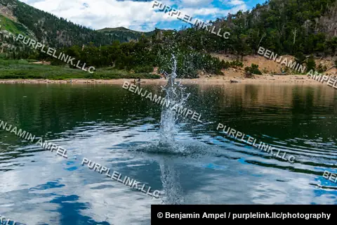A tall splash of water erupts from the still surface of an alpine lake, ringed by pine forest and rocky mountain peaks under a partly cloudy sky.