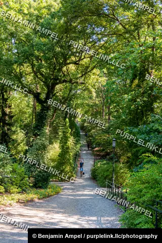 A wide gravel path winds through a shaded forest with a lone walker visible in the distance beneath a canopy of trees.