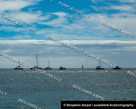 A row of sailboats and small excursion boats spread across the horizon under a partly cloudy sky, seen from the water off Waikiki, Hawaii.