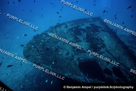 The barnacle-covered bow of a sunken ship rises from the seabed, surrounded by dense schools of fish, off the coast of Hawaii.