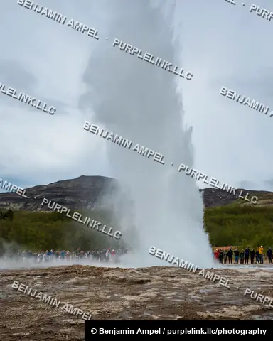Iceland - June 2024: The Strokkur geyser shoots a tall column of steam and water into the sky as a crowd of visitors watches from either side.