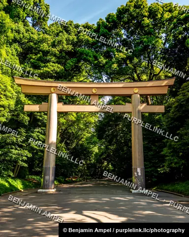 A large weathered wooden torii gate stands at the tree lined entrance path to Meiji Shrine in Tokyo, surrounded by lush green forest.