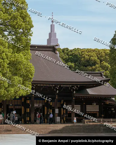 The traditional wooden main hall of Meiji Shrine is framed by tall trees with a modern Tokyo skyscraper visible in the background.