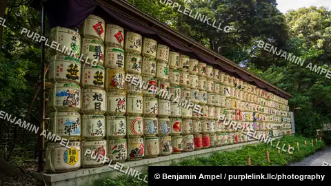 Rows of colorful decorative sake barrels wrapped in straw rope line a covered display wall along a forested path at Meiji Shrine.