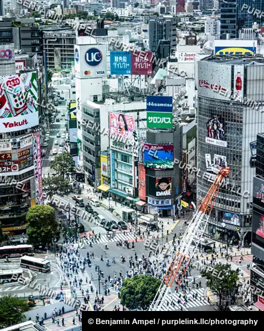 A high angle view captures the famous Shibuya Crossing scramble intersection in Tokyo packed with pedestrians and surrounded by illuminated billboards.