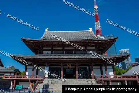 The grand main hall of Zojoji Temple stands beneath the red and white Tokyo Tower against a vivid blue sky in central Tokyo.