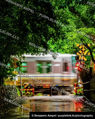 A commuter train blurs past a railway crossing framed by dense green trees on a rainy day in the Kyoto area of Japan.