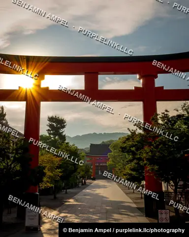 Morning sunlight bursts through a large red torii gate leading to the main hall of Fushimi Inari Taisha shrine in Kyoto, Japan.