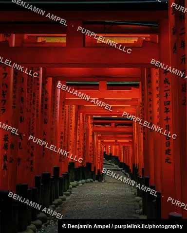Thousands of vermillion torii gates inscribed with donor names form a glowing tunnel along the path at Fushimi Inari Taisha shrine in Kyoto, Japan.