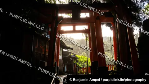 Sunlight streams through a wooden torii gate framing stone steps and a small shrine building on the wooded hillside of Fushimi Inari Taisha, Kyoto, Japan.