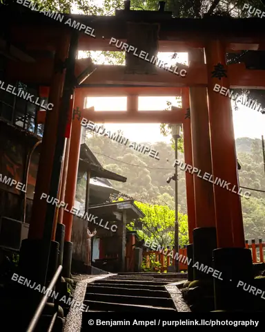 A wooden torii gate glows in afternoon light beside a small shrine building and greenery on the hillside path of Fushimi Inari Taisha, Kyoto, Japan.