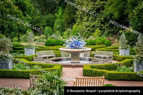 Atlanta, Georgia - May 2026: A cobalt blue glass sculpture crowns a stone fountain in a formal boxwood garden at the Atlanta Botanical Garden.