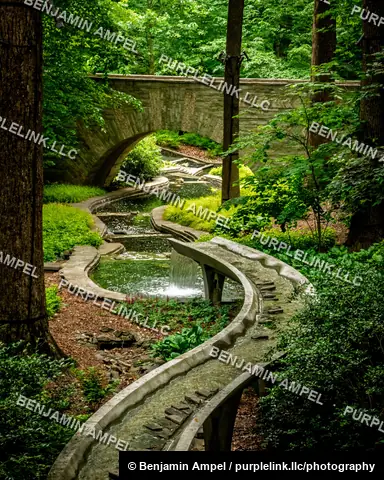 A curved stone footbridge crosses a meandering garden stream lined with ferns and moss beneath a forest canopy.