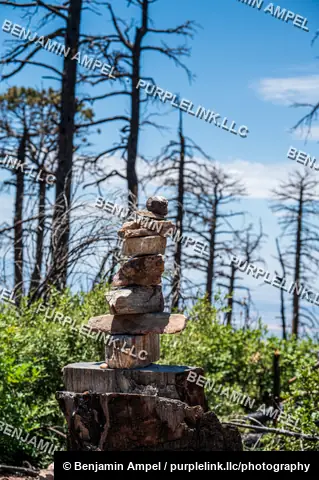 A stacked stone cairn balances atop a charred tree stump against a backdrop of tall pines and blue sky.