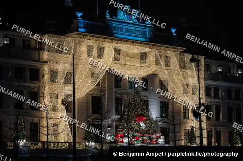 Copenhagen, Denmark - December 2025: The illuminated Hotel d'Angleterre and its rooftop Christmas tree are framed by bare winter trees and a street lamp at night.