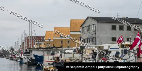 Sailboats and houseboats line a quiet harbor marina beside orange-roofed buildings under an overcast sky.