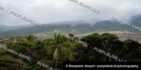Low rain clouds drift over green volcanic mountains and valley farmland, framed by tropical palm trees and flowering plants in the foreground.