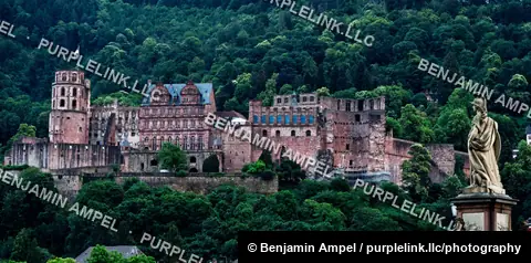 Heidelberg, Germany - June 2026: The red sandstone ruins of Heidelberg Castle stand on a forested hillside above the old town, with a statue in the foreground.