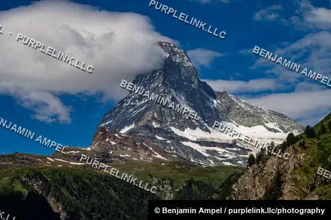 The iconic pyramid peak of the Matterhorn emerges from clouds above green alpine slopes and pine forest near Zermatt.