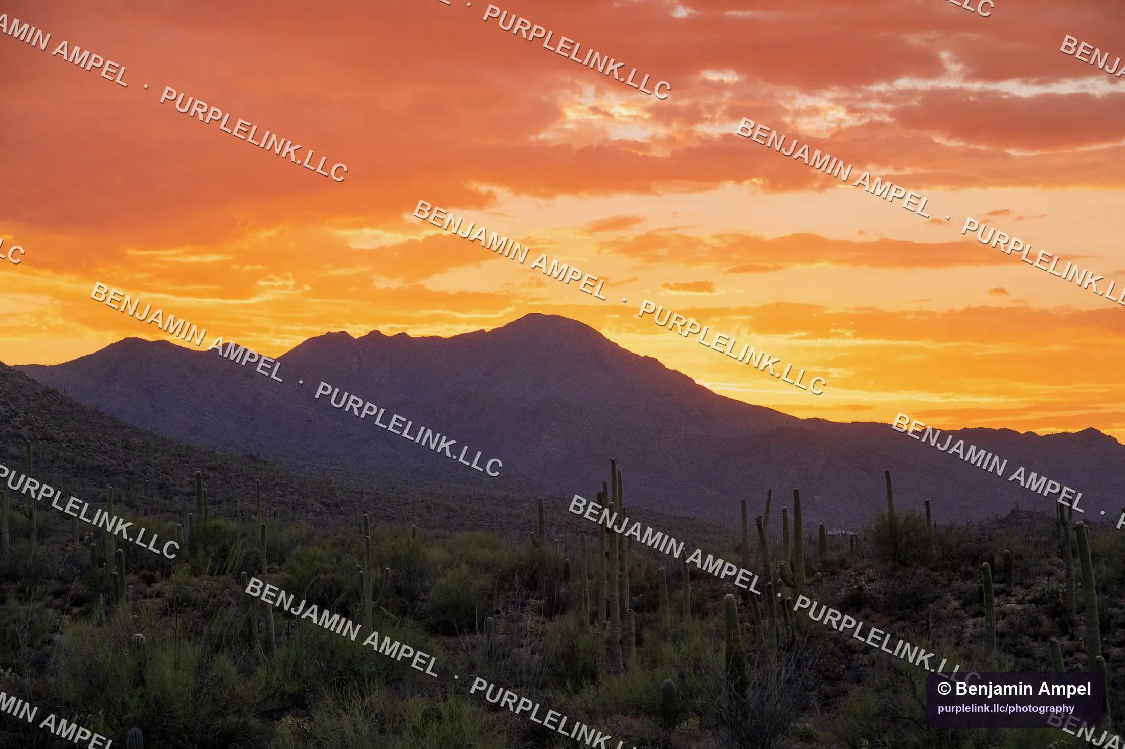 A dark desert mountain silhouetted against an orange and gold sunset above saguaro cactus