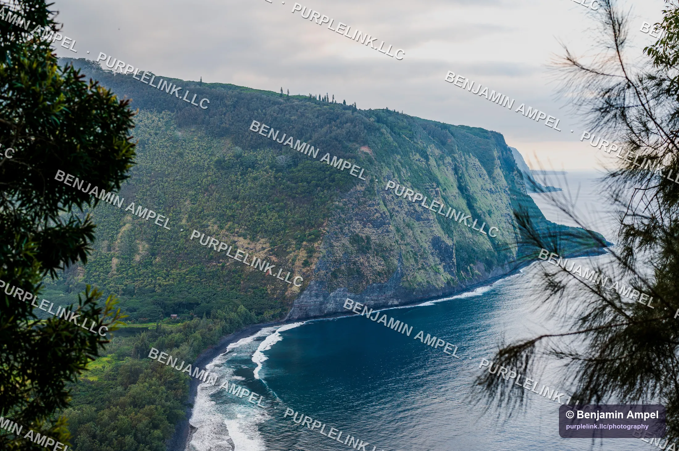 Green cliffs of Waipio Valley dropping to a black sand beach and surf