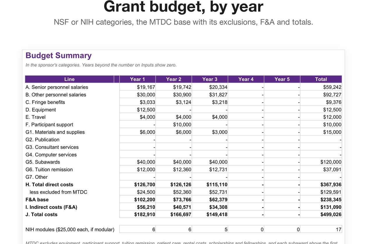 The Grant Budget Builder summary for an NSF proposal